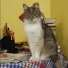 Отзыв от Татьяна Симонова
